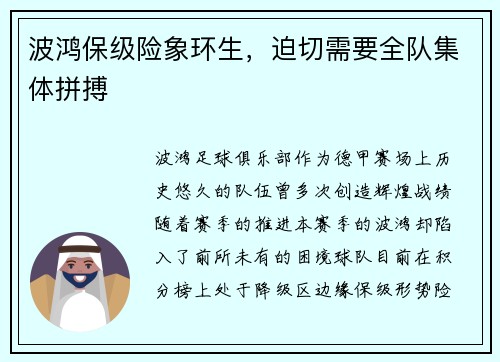 波鸿保级险象环生，迫切需要全队集体拼搏